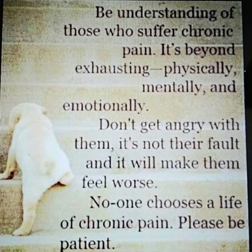 Drop Dead Gorgeous - image 7